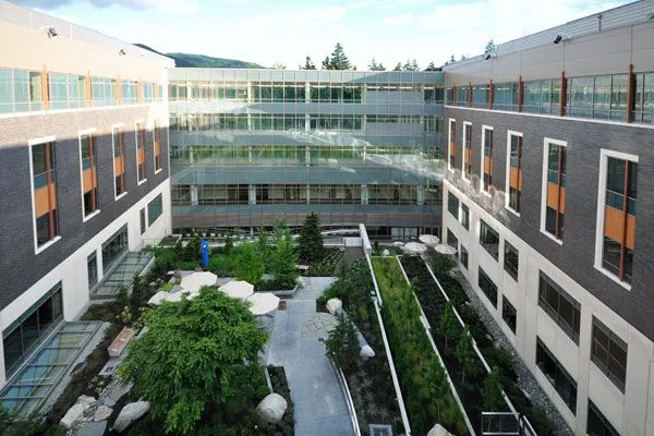 Swedish Issaquah courtyard surrounded by windows